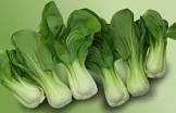 Pak choi France 