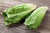 Salade romaine Provence 