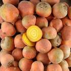 Betterave jaune 5kg France nouvelle 