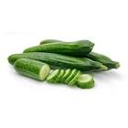 Concombre relisson Belgique/Hollande 