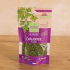 Coriandre kg Provence 