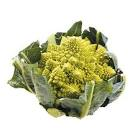 Chou romanesco cal 8 France 
