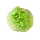 Salade iceberg Espagne 