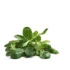 Mache lavée 250gr hve 