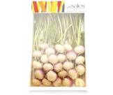 Mini navet 400gr France 