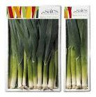 Mini poireau 400gr France 