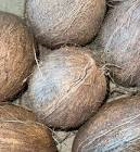 Noix de coco Cote d'Ivoire 