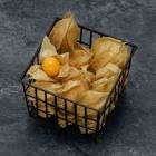 Physalis Colombie barquette 